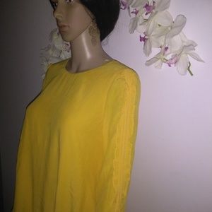 ZARA trafaluc collection Yell Dress With Ruchin